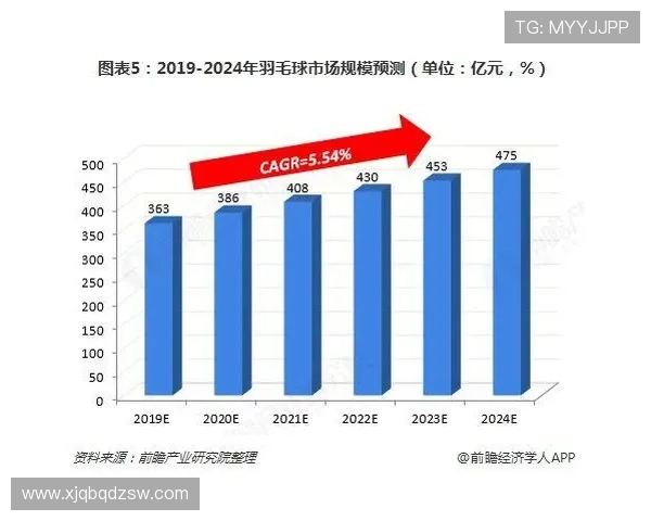 昂热足球俱乐部的发展历程与未来前景分析